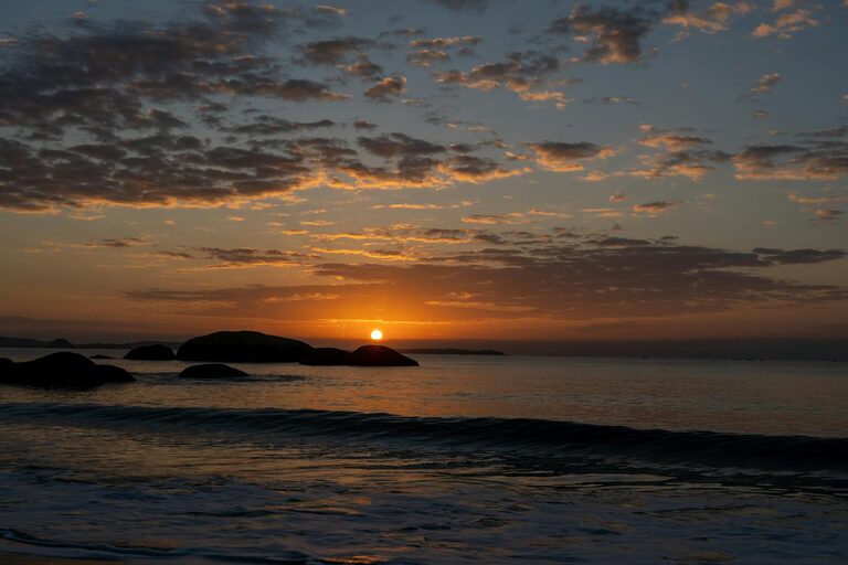 Ideas for Peaceful Weekend Mornings to Start Your Day Right